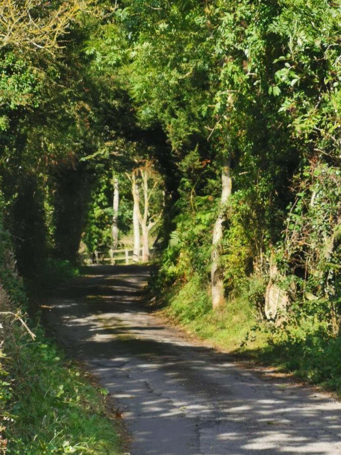Grosmont Cottage, Ruswarp Whitby Bagian luar foto